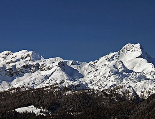 Rogatec mountain in winter (1550m)